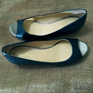 VGUC COLE HAAN Nike Air Astoria OT Ballet Flat 6